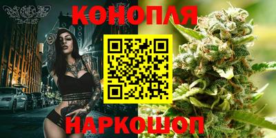 ГАЛЛЮЦИНОГЕННЫЕ ГРИБЫ Новодвинск