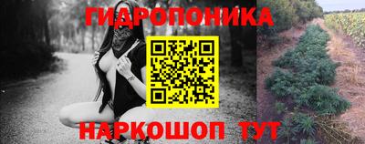 ПСИЛОЦИБИНОВЫЕ ГРИБЫ Новокубанск