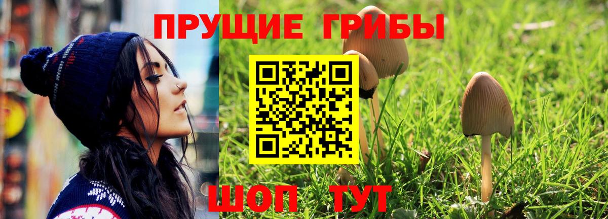Псилоцибиновые грибы Magic Shrooms Пушкино