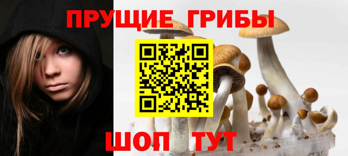 Пушкино  Псилоцибиновые грибы прущие грибы  купить  сайты  Вход с VPN 